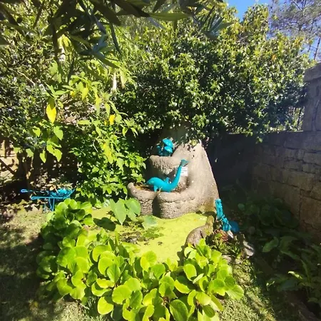 Hébergement de vacances Lanzada